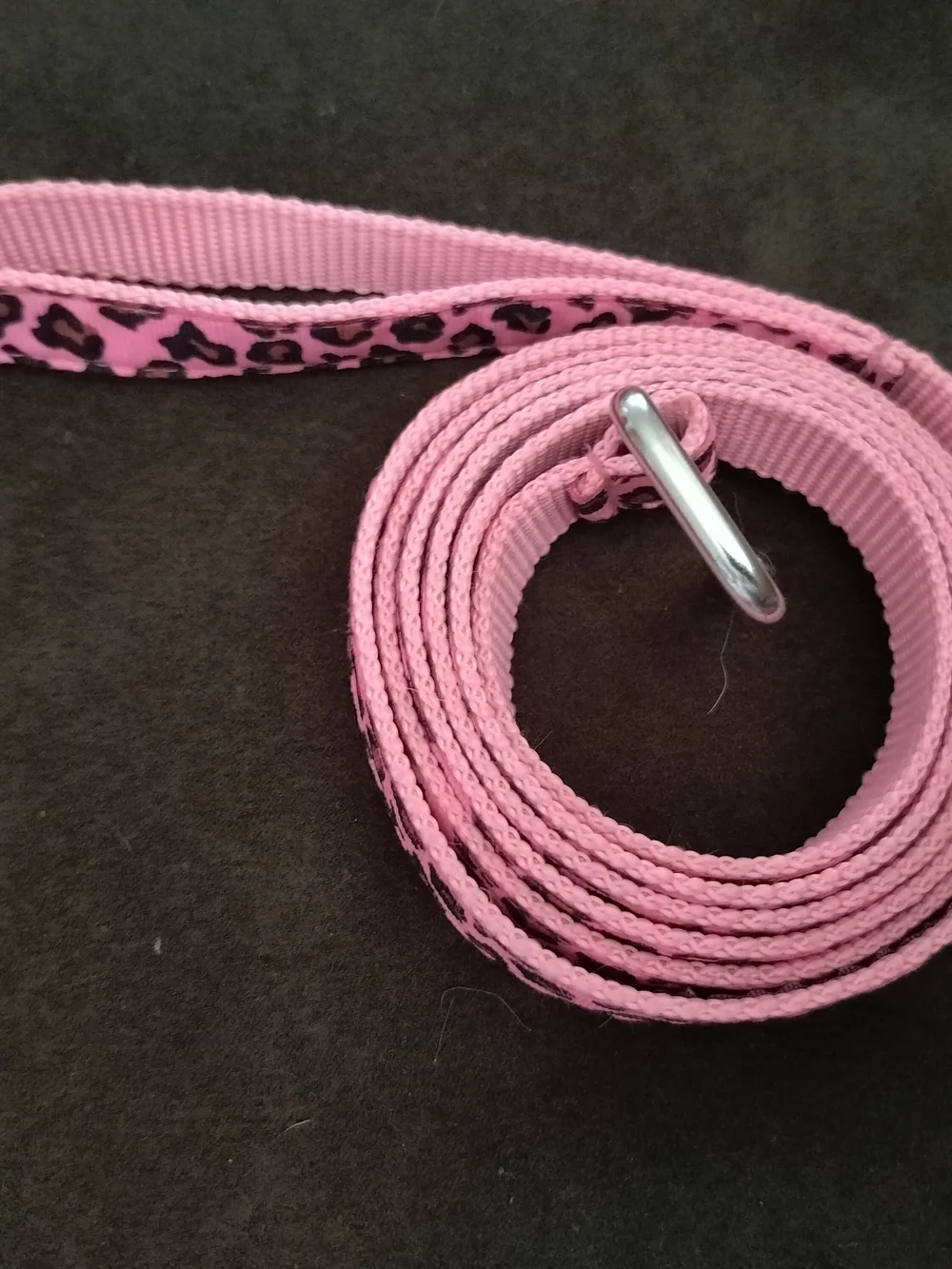 Sassy Dog Leash 3/4 in. Wide, Pink/ Leopard Print Nylon Webbing, 68 In. Long